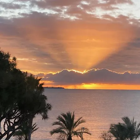 Les Pieds Dans L'eau Daire Cannes